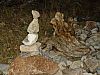 DSC05836.jpg